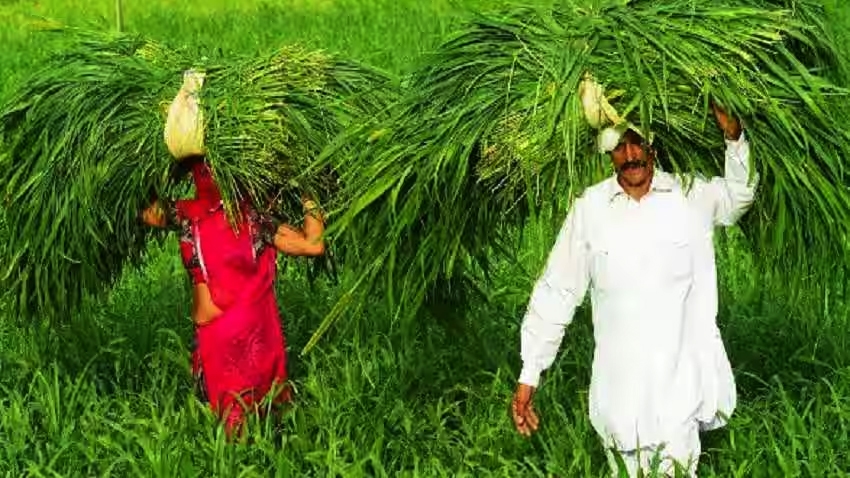 विविध कृषि पुरस्कारासाठी कृषी क्षेत्रात कार्य करणाऱ्या व्यक्ती/संस्था/ गट यांनी अर्ज करण्याचे आवाहन 7 विविध कृषि पुरस्कारासाठी कृषी क्षेत्रात कार्य करणाऱ्या व्यक्ती/संस्था/ गट यांनी अर्ज करण्याचे आवाहन
