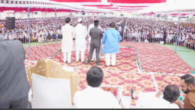 'असा पाडा' 'असा पाडा' परत 'शरद पवारांचा नाद नाय केला पाहिजे' 1 'असा पाडा' 'असा पाडा' परत 'शरद पवारांचा नाद नाय केला पाहिजे'