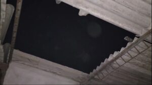 बौद्धनगर