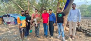 हिमालयीन गिधाड